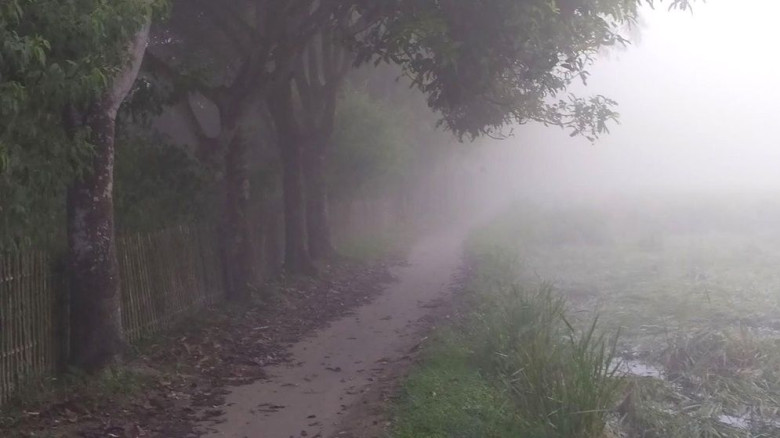 পঞ্চগড়ে তাপমাত্রা নামল ১৪ ডিগ্রিতে, হেডলাইট জ্বালিয়ে চলছে যান...