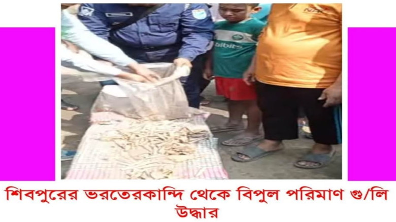 শিবপুরে মাটির নিচ থেকে বিপুল পরিমাণ গুলি উদ্ধার