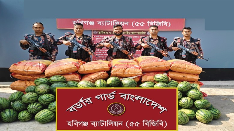 তরমুজের নিচে লুকিয়ে পাচারকালে ১৬ লাখ টাকার ভারতীয় জিরা জব্দ 