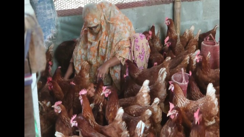 অদম্য ইচ্ছাশক্তিতে সফল নারী উদ্যোক্তা নড়াইলের রুনা লায়লা