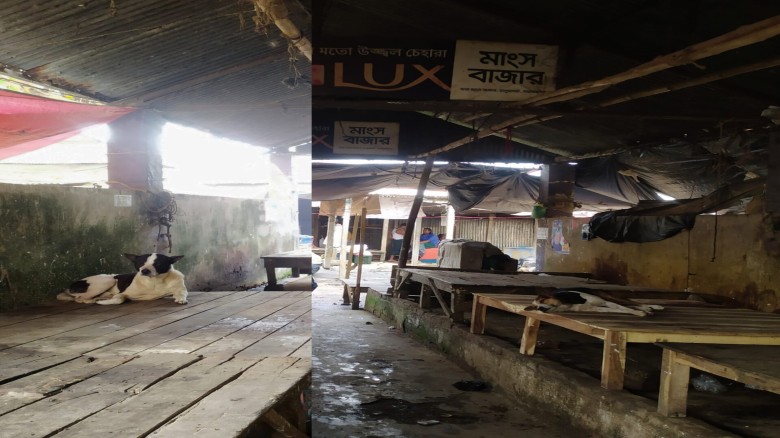 ময়মনসিংহের ধারা বাজার মাংস মহলে কুকুরের অবাধ বিচরণ