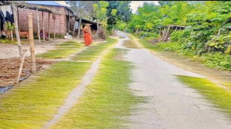 ভেড়ামারায় সড়কের উপর খড় শুকানোয় বাড়ছে দুর্ঘটনা, প্রশাসন