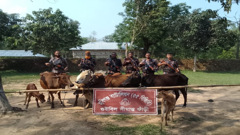 হবিগঞ্জ সীমান্তে বিজিবির বিশেষ অভিযান: ৬ লাখ টাকার ভারতীয় গর