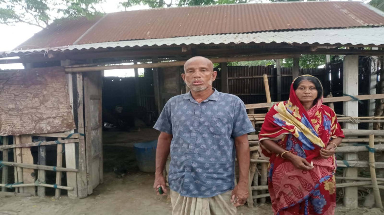 মাগুরার শ্রীপুরে একই রাতে দুই ভাইয়ের ৫ গরু ও ১ ছাগল চুরি, দি